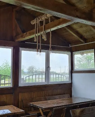 Casa Carpov Pensión *