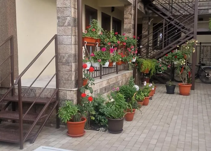 Casa Carpov Pensión Sulina